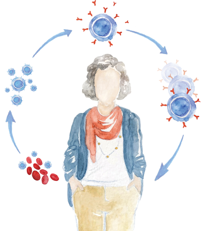 Hypothetical Breyanzi patient and CAR T cell therapy treatment steps.